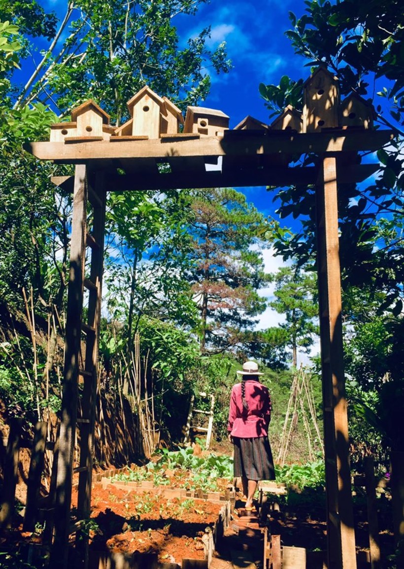 Dalat Memories Homestay: Căn nhà gỗ yên bình với không gian mở