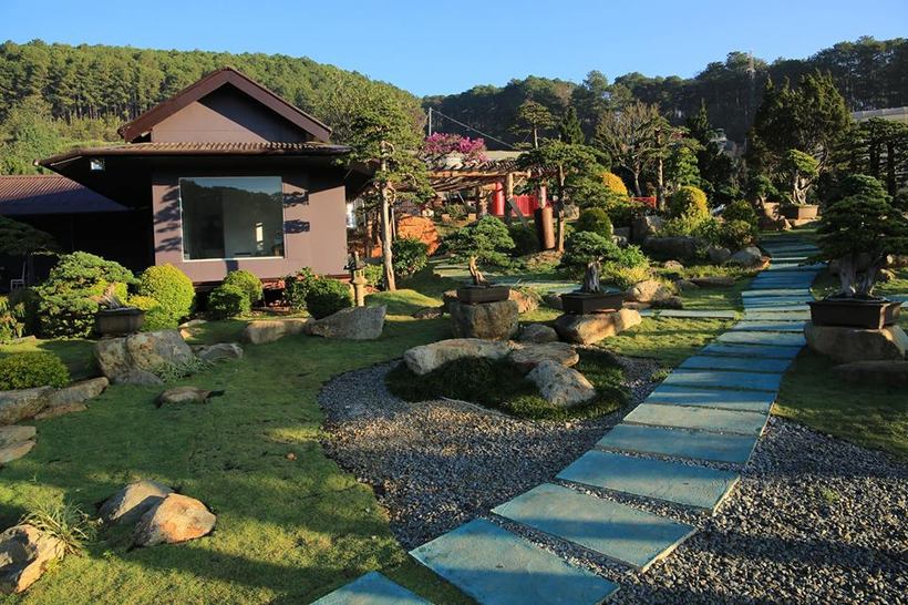 Que garden - Chill ngay khu vườn bonsai lá kim lớn nhất ở Việt Nam