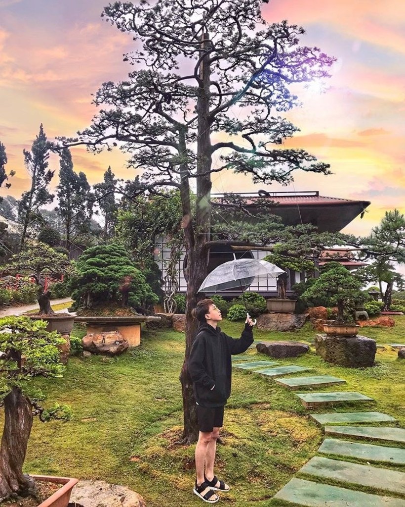 Que garden - Chill ngay khu vườn bonsai lá kim lớn nhất ở Việt Nam