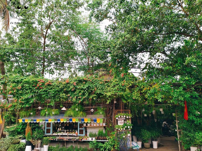 Cú Trên Cây Garden: Dân tình xốn xang quán café tổ chim ở Sài Gòn