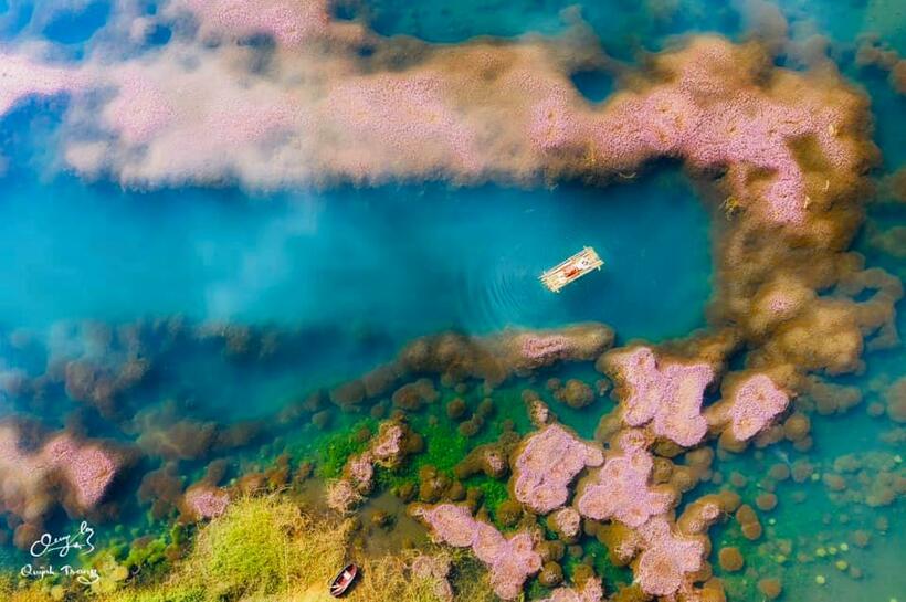 Hồ tảo hồng B'lao ở Bảo Lộc: Kinh nghiệm tham quan chụp ảnh đẹp mê hồn