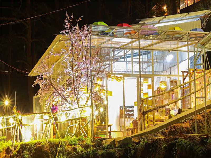 Sunny Farm: Sống ảo trong không gian giữa Homestay và quán Cafe