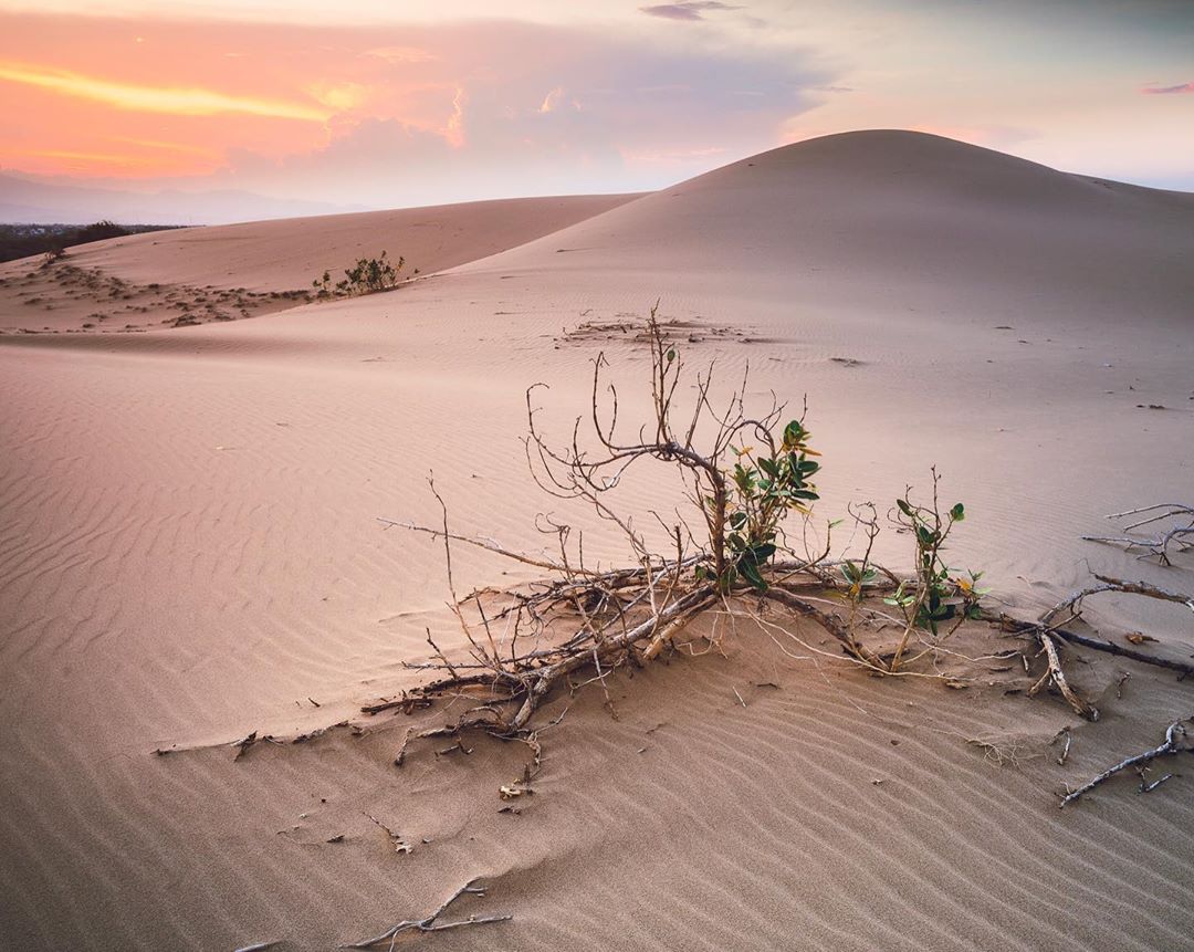 Đồi cát Nam Cương: Hướng dẫn đường đi và kinh nghiệm tham quan A-Z