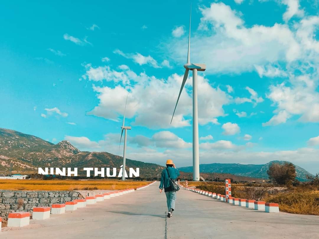 Cánh đồng điện gió Đầm Nại: Điểm check-in sống ảo cực hot ở Ninh Thuận