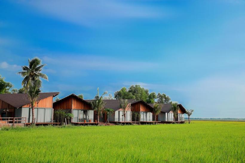Green Field Resort Hồ Tràm: Kỳ nghỉ đẳng cấp giữa đồng lúa xanh rì