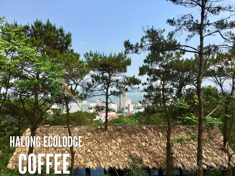 Halong Ecolodge - Eco House: homestay ẩn trên rừng núi, view biển đẹp