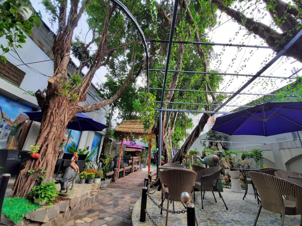 Quán cafe sân vườn Quận 12: Đến với quán cafe sân vườn tại Quận 12, bạn sẽ được trải nghiệm không gian tuyệt đẹp của một khu vườn xanh mát, thưởng thức những ly cà phê thơm ngon và các món tráng miệng hấp dẫn.