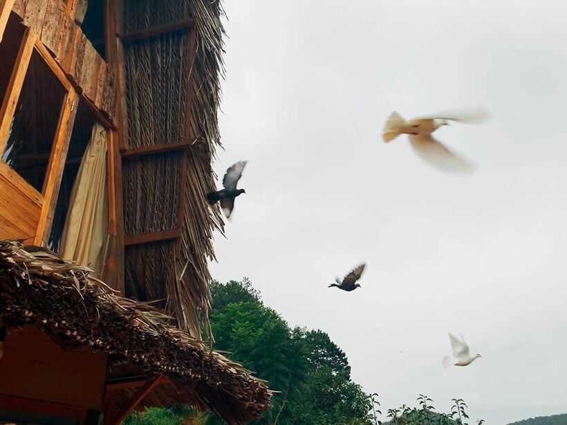 Vườn Nhà Củi: Homestay ngôi nhà mái lá viền hoa bình yên ở Đà Lạt