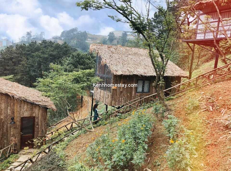Chillout Village: Homestay "nhà gỗ" cực xinh lưng chừng đồi ở Tam Đảo