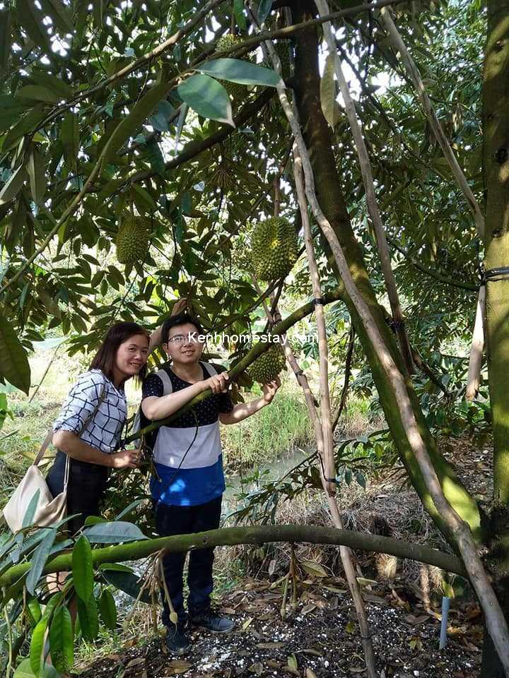 Top 9 vườn trái cây Tiền Giang gây sốt, ăn bao no không lo về giá