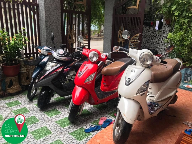 Top 15 địa chỉ cho thuê xe máy Phan Rang Ninh Thuận giá rẻ giao xe tận nơi