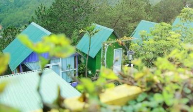 Windy Hill coffee & homestay Đà Lạt: Những mái nhà hòa mình với thiên nhiên