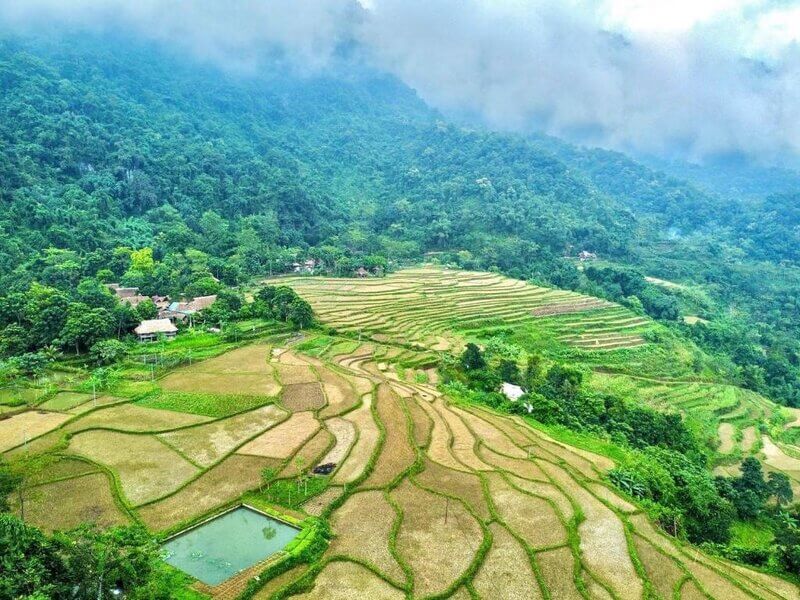 Top 12 Homestay Pù Luông - Thanh Hóa giá rẻ view đẹp ngắm đồng lúa