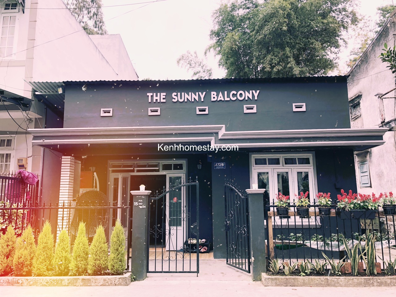 The Sunny Balcony Mai Hoa Thôn: homestay xinh đẹp mộng mơ, giá rẻ bất ngờ giữa Đà Lạt