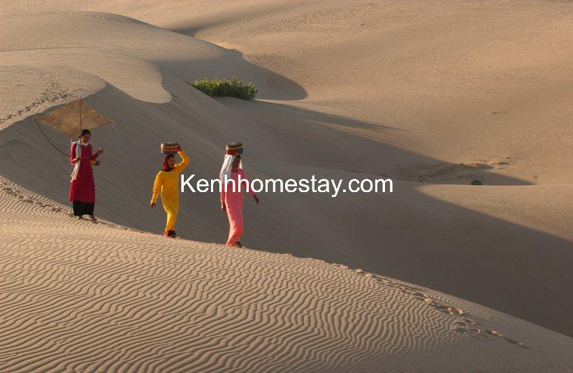 Top 9 Đồi cát ở Việt Nam đẹp ngây ngất cảnh tượng như sa mạc