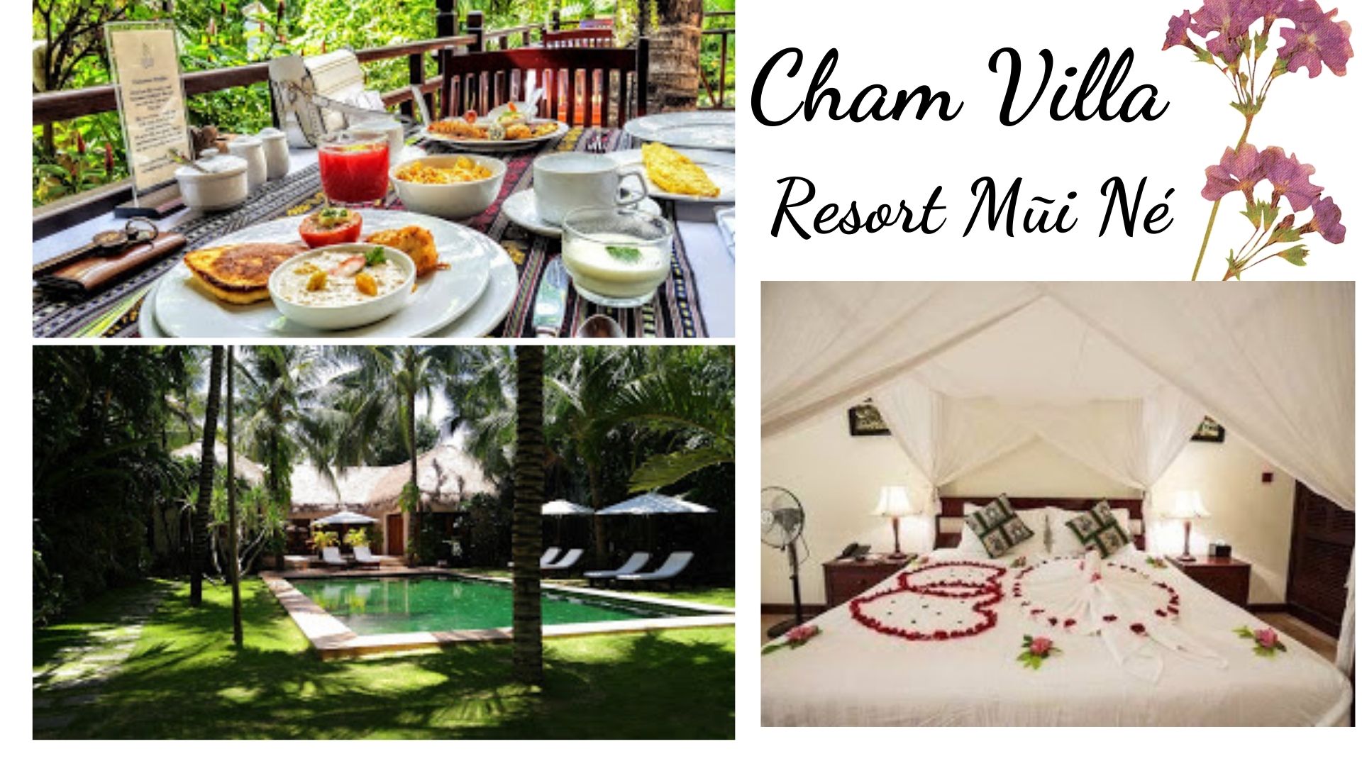 Top 61 Resort Mũi Né Phan Thiết giá rẻ view đẹp gần biển từ 3-4-5 sao