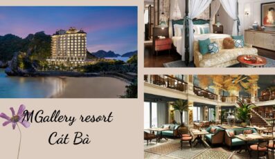 Top 12 Resort Cát Bà giá rẻ ở Hải Phòng gần biển view đẹp từ 3-4-5 sao