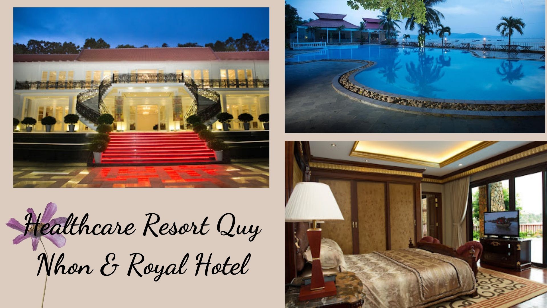 Top 17 Resort Quy Nhơn Bình Định giá rẻ view đẹp sát biển nhìn mê ly
