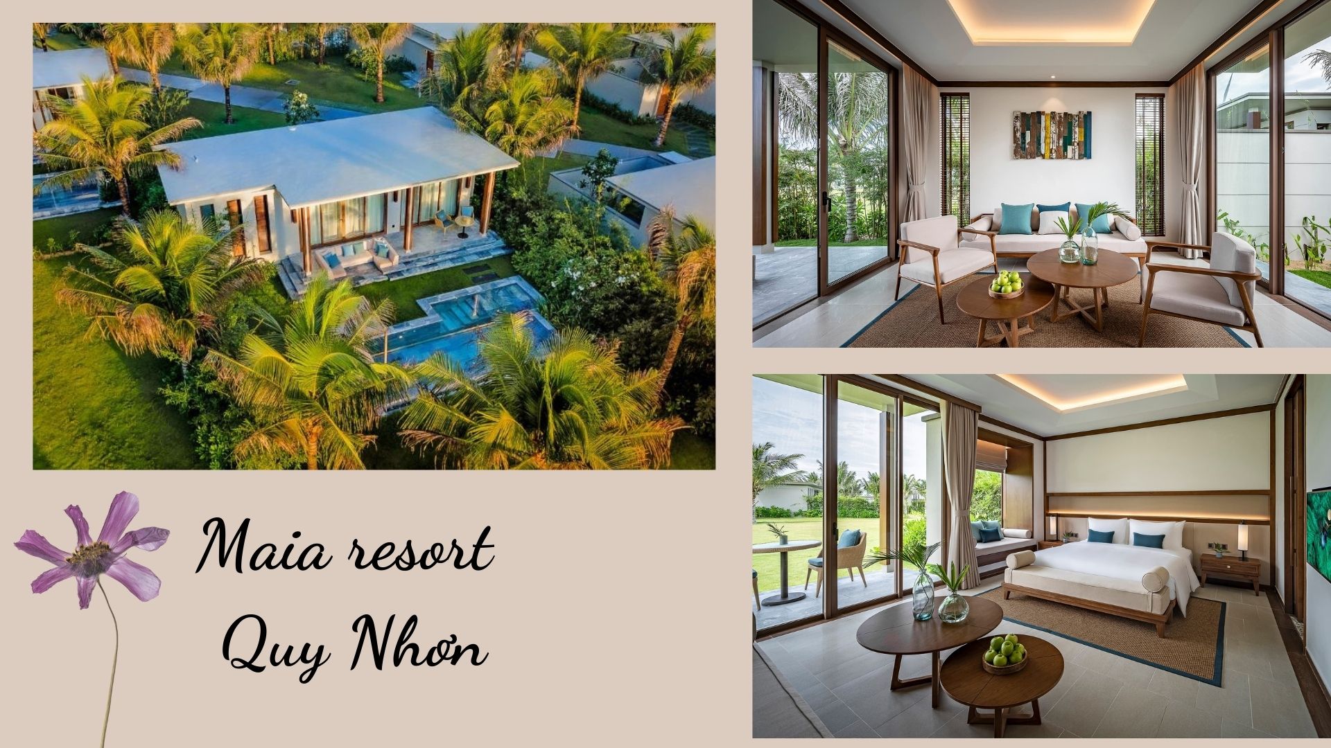 Top 17 Resort Quy Nhơn Bình Định giá rẻ view đẹp sát biển nhìn mê ly