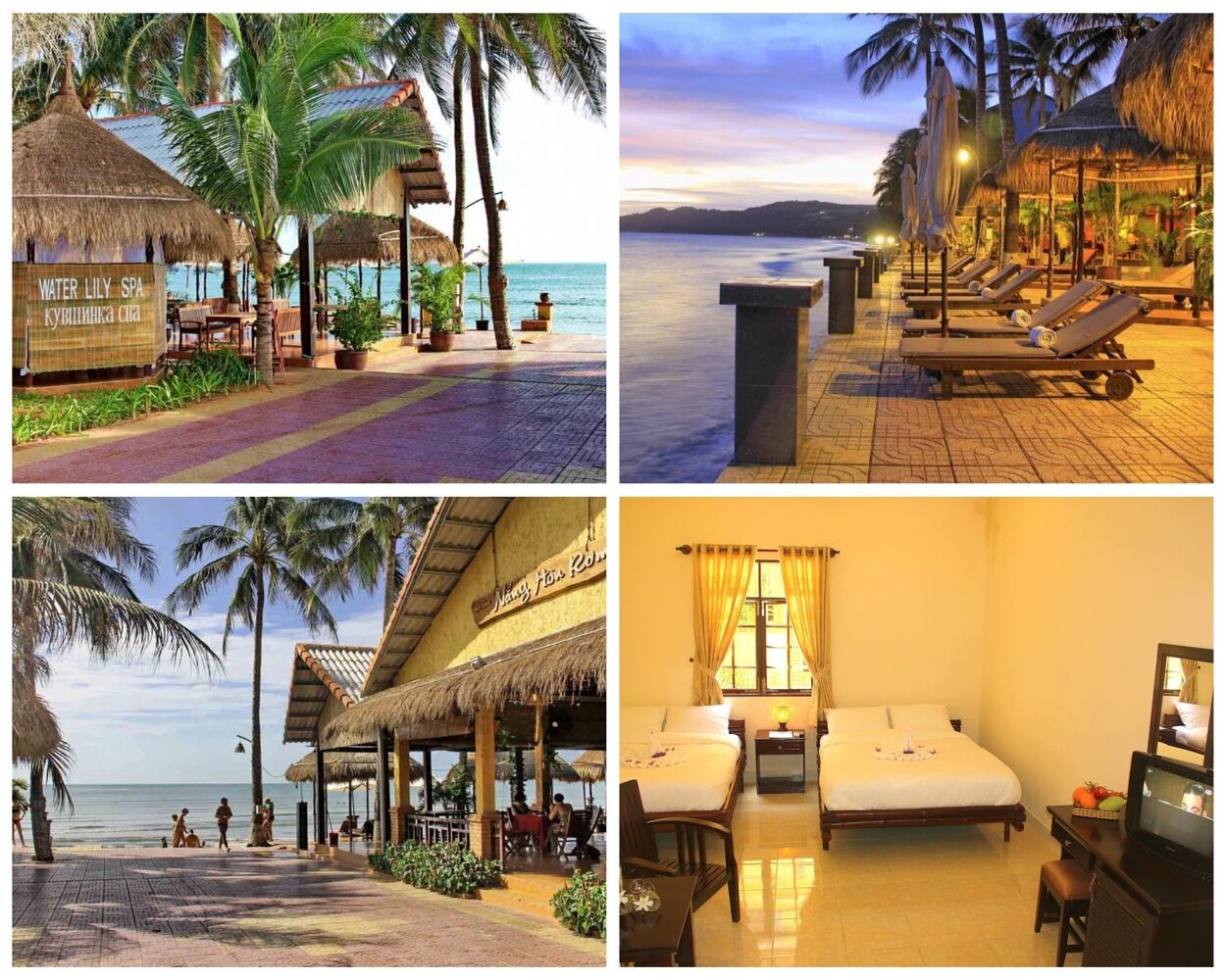 Top 60 Resort Mũi Né Phan Thiết giá rẻ view đẹp gần biển từ 3-4-5 sao