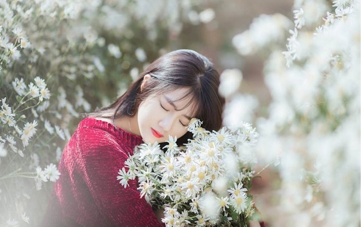 Khám phá 84+ ảnh hoa cúc họa mi đẹp nhất siêu hot - Tin Học Vui