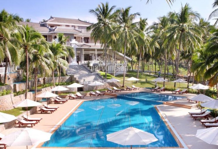 Review về Amaryllis Resort Phan Thiet Reviews