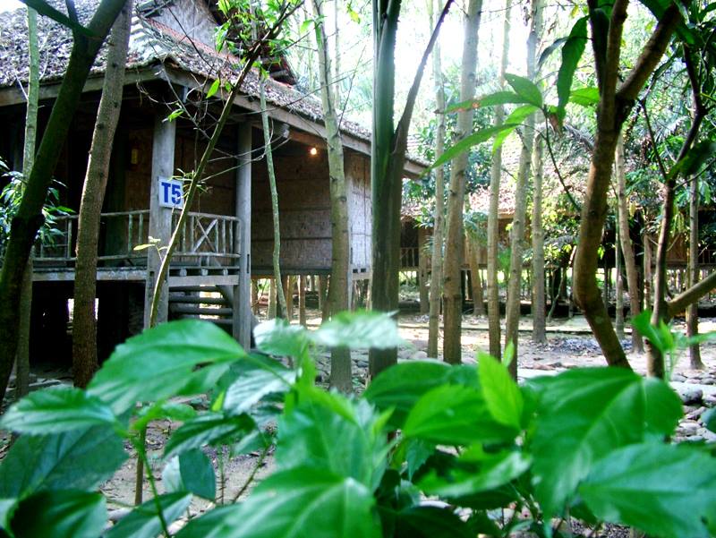 Thanh Thủy Resort: Không gian nghỉ dưỡng lý tưởng nơi ngoại ô