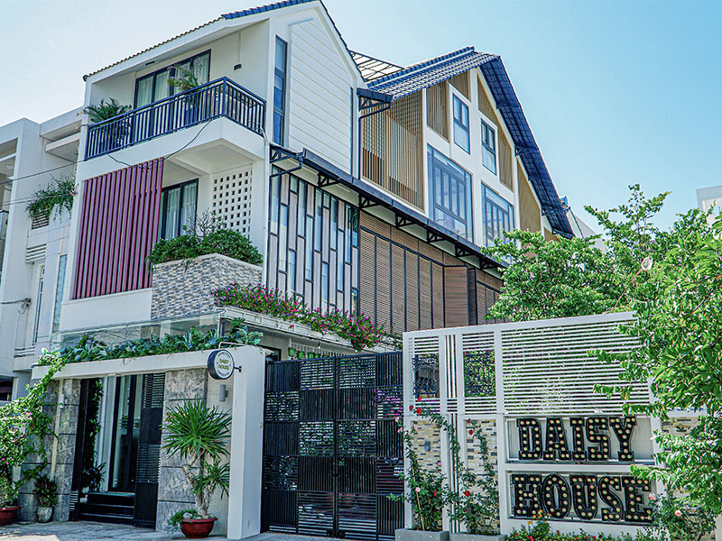 Daisy House Phú Yên - An yên giữa "hoa vàng cỏ xanh" 
