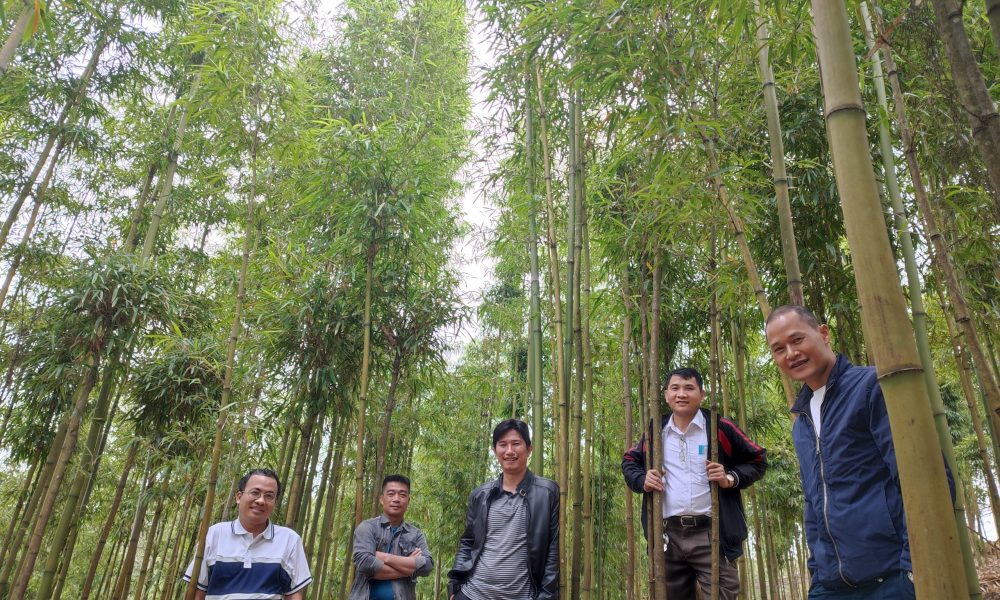 Pu Luong Riverside Lodge - Điểm hẹn của thiên nhiên xứ Thanh