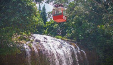 Review thác Prenn - Chốn rừng xanh giữa thiên nhiên Đà Lạt