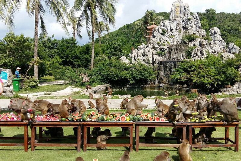 Đảo khỉ Nha Trang - Nơi tận hưởng niềm vui cùng thiên nhiên  