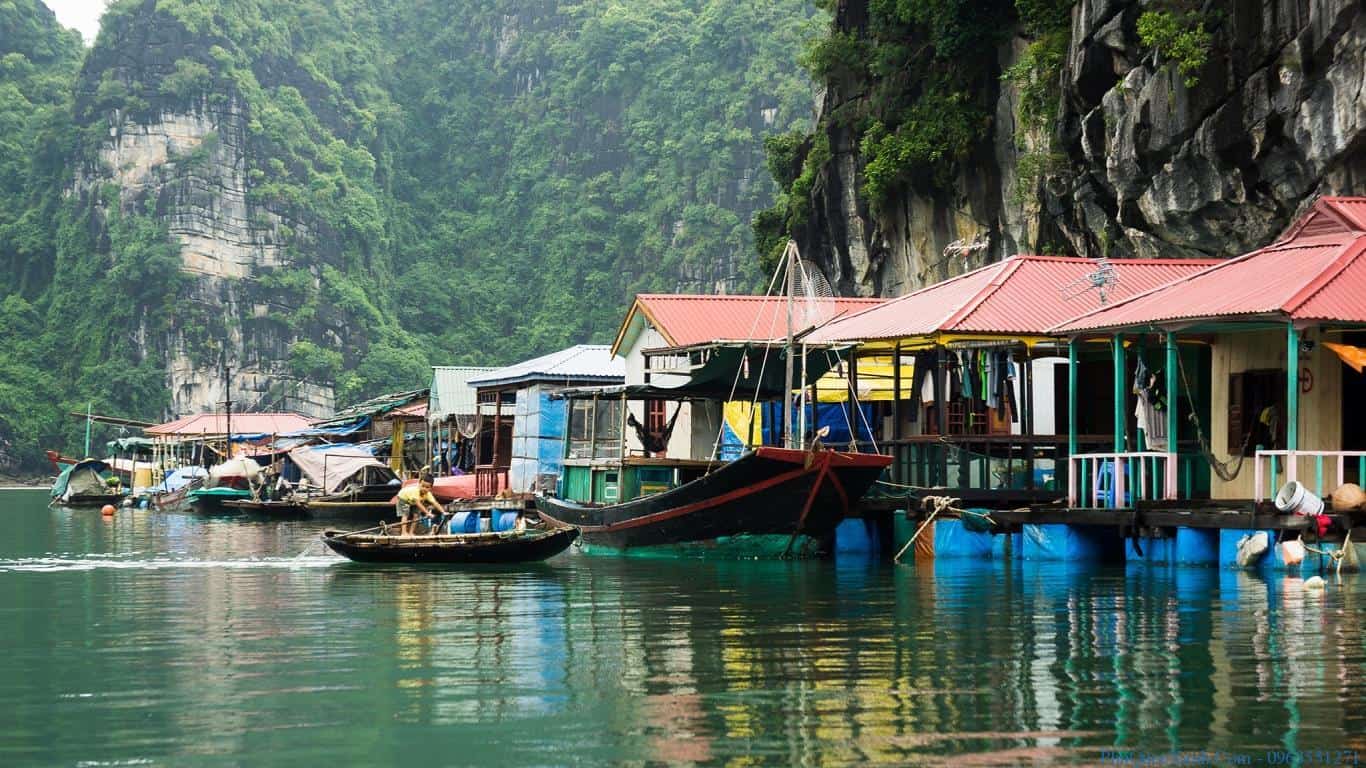 Top 6 làng chài Phú Quốc cảnh đẹp, hải sản tươi ngon 