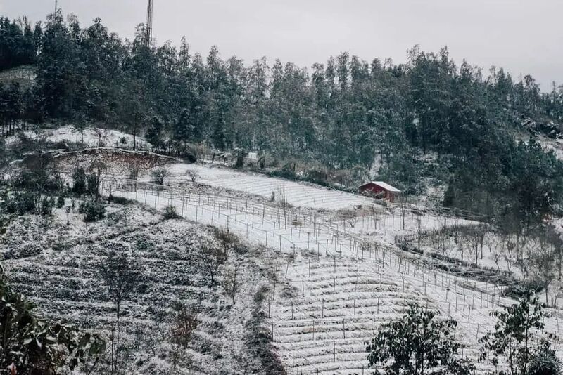 Kinh nghiệm du lịch mùa Sapa tuyết rơi có một không hai ở Việt Nam