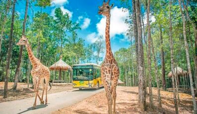 Khám phá Vinpearl Safari Phú Quốc - Khu vui chơi hot nhất ở đảo ngọc 2023