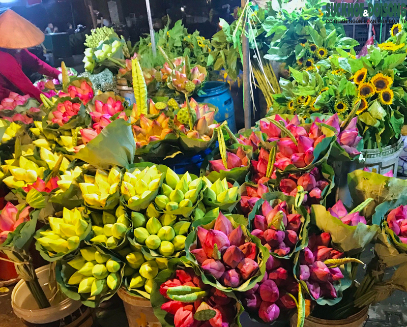 Khám phá chợ hoa Quảng An - Vẻ đẹp thơ mộng của Thủ đô hoa lệ về đêm