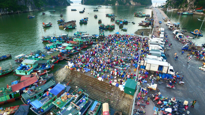 Chợ hải sản Hòn Gai