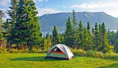Top 9 điểm cắm trại ở vườn quốc gia Ba Vì để tận hưởng một ngày nghỉ trọn vẹn
