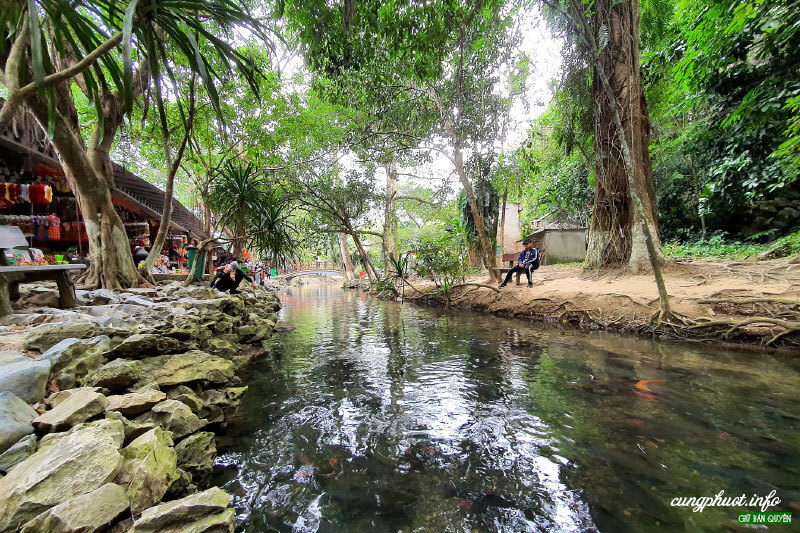 Suối cá thần Cẩm Lương - Nơi kỳ bí giữa núi rừng Thanh Hóa