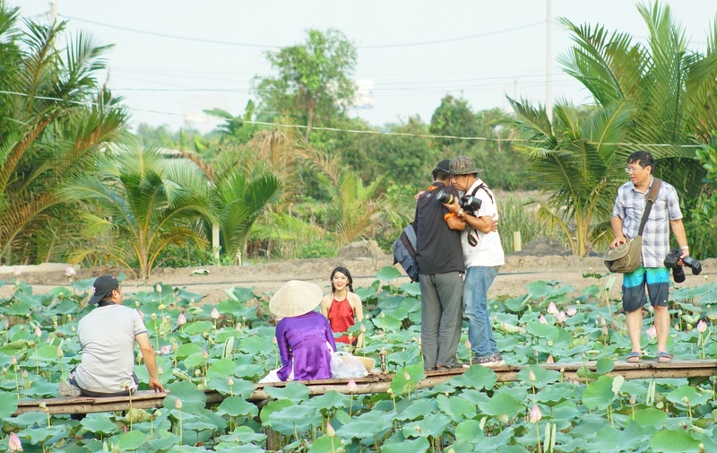 Đầm sen Tam Đa, nét đẹp bình yên giữa lòng thành thị