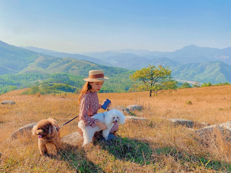 Đình Bình Hương, một thoáng Đà Lạt giữa lòng Quảng Ninh