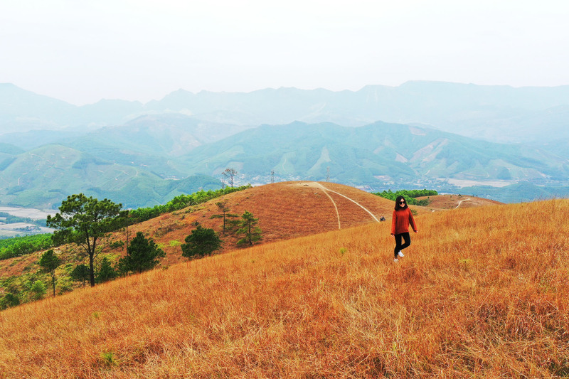 Đình Bình Hương, một thoáng Đà Lạt giữa lòng Quảng Ninh