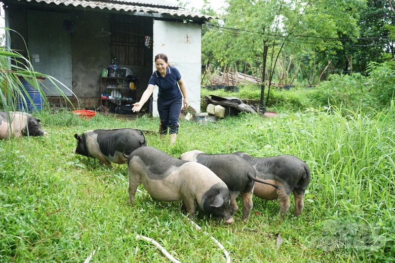 Top 10 đặc sản Móng Cái tín đồ du lịch mê tít